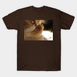 Closeup Cute Cat Side Profile Photography T-Shirt